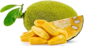 Jackfruit